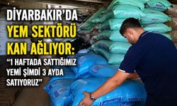 Diyarbakır’da Yem Sektörü Kan Ağlıyor: “1 Haftada Sattığımız Yemi Şimdi 3 Ayda Satıyoruz”
