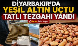 Diyarbakır'da 'Yeşil Altın' uçtu tatlı tezgahı yandı