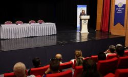 Diyarbakır’ın dünya mirası için ortak koruma planı çağrısı
