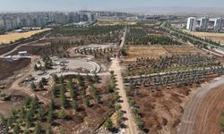 Diyarbakır’da dev Naturapark projesinde çalışmalar hız kazandı