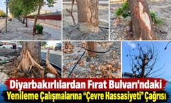 Diyarbakırlılardan Fırat Bulvarı’ndaki Yenileme Çalışmalarına “Çevre Hassasiyeti” Çağrısı