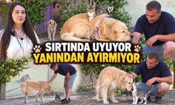 Annesinin terk ettiği yavru kediye 7 yaşındaki Kuki annelik yapıyor