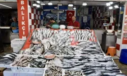 Karadeniz’de av sezonu palamut bereketiyle başladı
