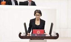 Diyarbakır’da kadın şiddeti ve şüpheli ölümler Meclis gündeminde