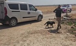 Mardin’de 13 Yaşındaki Çocuktan Haber Alınamıyor: Arama Çalışması Başlatıldı