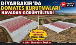 Diyarbakır’da domates kurutmaları havadan görüntülendi