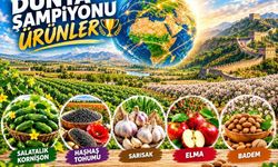 Dünyanın Üretim Haritasında Şaşırtan Tablo