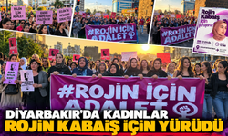 Diyarbakır’da Kadınlar Rojin Kabaiş İçin Yürüdü