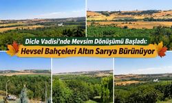 Dicle Vadisi’nde Sonbahar Renkleri Kendini Göstermeye Başladı