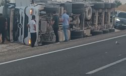 İneğe Çarpmamak İçin Manevra Yapan Mısır Yüklü Tır Yan Yattı