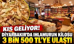 Kış Geliyor! Diyarbakır’da Ihlamurun Kilosu 3 Bin 500 TL’ye Ulaştı