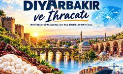 Diyarbakır’ın ihracat rotası değişiyor: İşte öne çıkan ülkeler ve sektörler