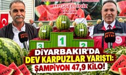 Diyarbakır’da Dev Karpuzlar Yarıştı: Şampiyon 47,9 Kilo!