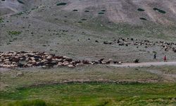 Konargöçer ailelerin ömrü sürülerinin peşinde geçiyor