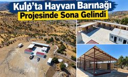 Kulp’ta Hayvan Barınağı Projesinde Sona Gelindi