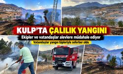 Kulp’ta Çalılık Yangını: Vatandaşlar Yangın Tüpleriyle Seferber Oldu