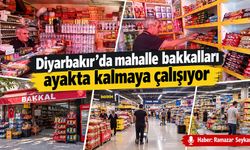 Diyarbakır’da mahalle bakkalları ayakta kalmaya çalışıyor