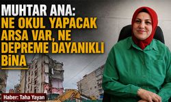 Muhtar Ana: Ne okul yapacak arsa var, ne depreme dayanıklı bina