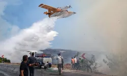 Orman yangınlarında 70 şüpheli belirlendi: 16 kişi tutuklandı