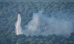 Orman yangınlarıyla mücadelede yeni dönem: Yeni kurallar yürürlüğe girdi