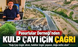 Kulp Pasurlular Derneği’nden Kulp Çayı için çağrı: “Doğa nefes alsın”