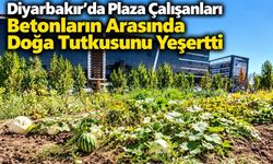 Diyarbakır'da Plaza Çalışanları Betonların Arasında Doğa Tutkusunu Yeşertti