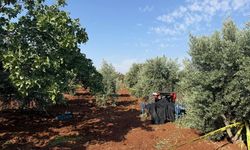 Kilis'te kullandığı traktörden düşen kişi hayatını kaybetti.