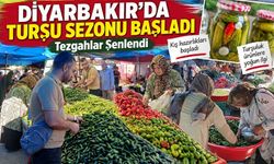 Diyarbakır’da Turşuluk Mesaisi Başladı: Tezgahlar Şenlendi