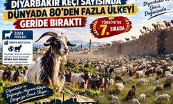 Diyarbakır keçi varlığında 80’den fazla ülkeyi geride bıraktı!