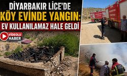 Diyarbakır Lice’de köy evinde yangın: Ev kullanılamaz hale geldi