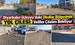 Diyarbakır Üçkuyu’daki Okullar Bölgesinde Yol Çilesi: Veliler Çözüm Bekliyor