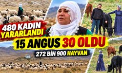 100 Koyunla Başladı, 200'e Çıkardı: Hatun Elyiğit'in Üretim Hikâyesi