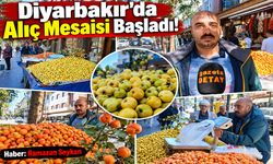 Diyarbakır'da Alıç Mesaisi Başladı!