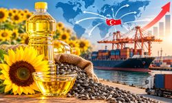Türkiye’nin Ayçiçeği Yağı İhracatı 9 Ayda 932 Milyon Dolara Yaklaştı