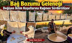Bağ Bozumu Geleneği Değişen İklim Koşullarına Rağmen Sürdürülüyor