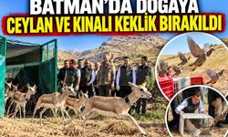 Batman’da Yaban Hayatı İçin Önemli Adım