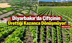 Diyarbakır'da Çiftçinin Ürettiği Kazanca Dönüşmüyor!