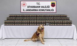 Diyarbakır’da kaçakçılık operasyonu: 29 kişi hakkında işlem