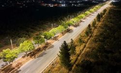Şanlıurfa’da Havalimanı Yoluna 65 Milyon Liralık Aydınlatma Yatırımı