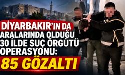 Diyarbakır’ın da Aralarında Olduğu 30 İlde Suç Örgütü Operasyonu: 85 Gözaltı