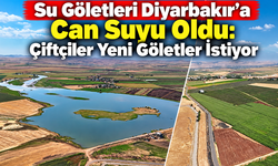 Su Göletleri Diyarbakır’a Can Suyu Oldu: Çiftçiler Yeni Göletler İstiyor