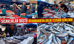 Sıcaklıklar Düştü Diyarbakır'da Balık Tezgahı Şenlendi