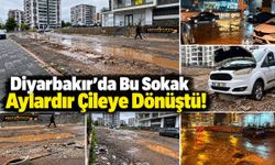 Diyarbakır’da Çileye Dönen Sokak!