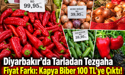 Diyarbakır’da Tarladan Tezgaha Fiyat Farkı