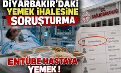 Diyarbakır’da Yemek İhalesi Mercek Altında: Entübe Hastalara Yemek Yazılmış!