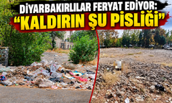 Diyarbakır’ın Göbeğinde Tepki Çeken Görüntü: “Kaldırın Şu Pisliği”