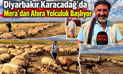 Diyarbakır Karacadağ’da Mera'dan Ahıra Yolculuk Başlıyor
