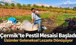 Çermik’te Pestil Mesaisi Başladı: Üzümler Geleneksel Lezzete Dönüşüyor