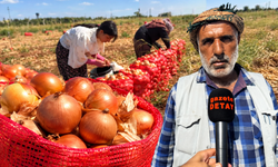 Diyarbakır’da soğan hasadı sürüyor: Rekolte düştü, üretici pazardan memnun