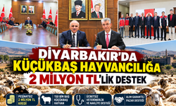 Diyarbakır’da küçükbaş hayvancılık için büyük destek: